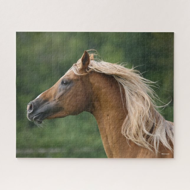 Puzzle Bob Langrish | Hausse-tête de Staline arabe Mane F (Horizontal)