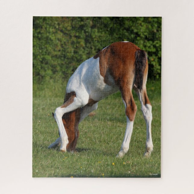 Puzzle Bob Langrish | Irlandais Sport Cheval Pâturage de  (Vertical)