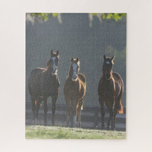 Puzzle Bob Langrish   Jeunes Chevaux Trois Quart