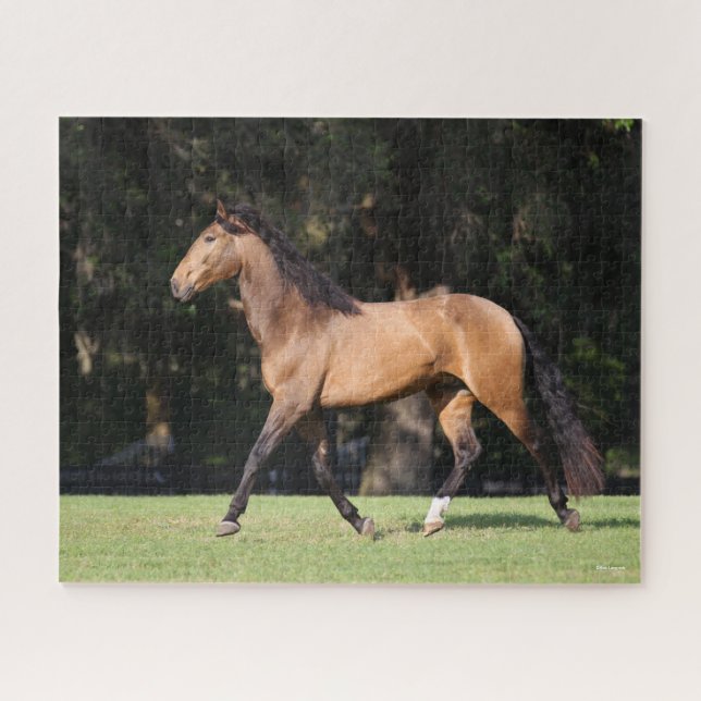 Puzzle Bob Langrish | Light Bay Lusitano Running (Horizontal)