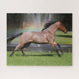 Puzzle Bob Langrish   Mangalarga Horse Running Rainbow