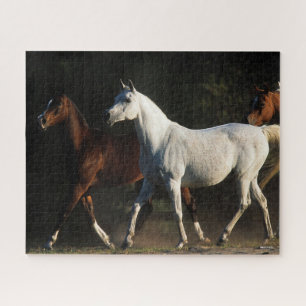 Puzzle Bob Langrish Marche des Mares Arabes
