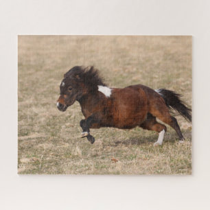 Puzzle Bob Langrish   Miniature Pony Running Fast