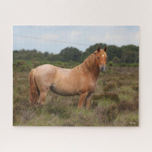 Puzzle Bob Langrish   Nouveau poney forestier debout dans