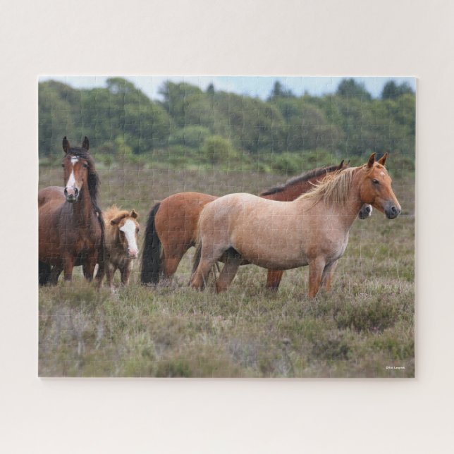 Puzzle Bob Langrish | Nouveaux poneys forestiers et poula (Horizontal)