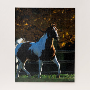Puzzle Bob Langrish   Paint Horse Walking Backlight Autom