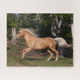 Puzzle Bob Langrish   Palomino Lusitano Stallion en march