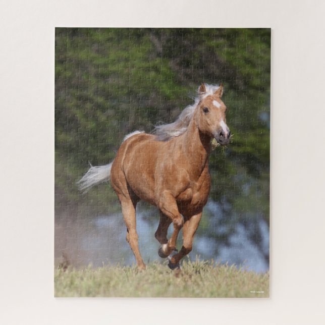 Puzzle Bob Langrish | Palomino Quarter Cheval Courir (Vertical)