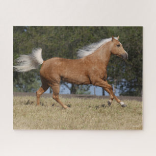 Puzzle Bob Langrish   Palomino Quarter Cheval Courir