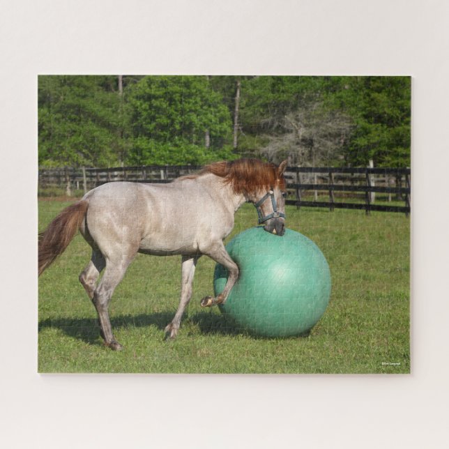 Puzzle Bob Langrish | Paso Fino Cheval Jouer Avec Ball (Horizontal)