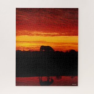 Puzzle Bob Langrish   Pâturage arabe à cheval au coucher 