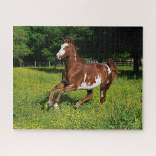Puzzle Bob Langrish Pinto Oldenburg Courir en fleurs