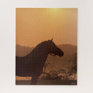 Puzzle Bob Langrish   Silhouette Rocky Mountain Horse
