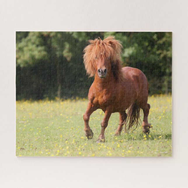 Puzzle Bob Langrish | Stallion de poney de châtaignes (Horizontal)