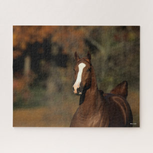 Puzzle Bob Langrish Tête de tête de châtaigner Thorough