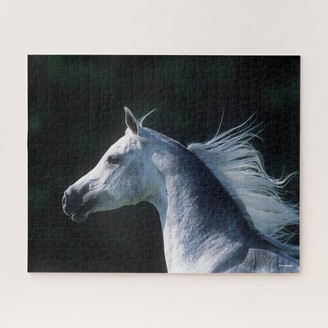 Puzzle Bob Langrish | Tirage arabe gris 3 (Horizontal)