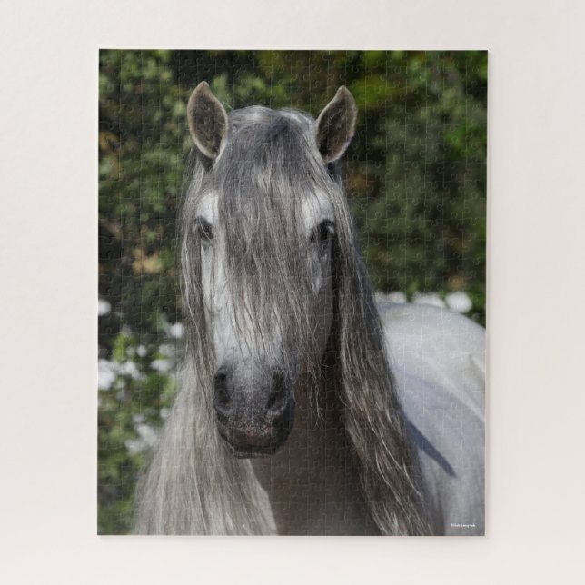 Puzzle Bob Langrish | Tirage de Stallion andalou gris (Vertical)