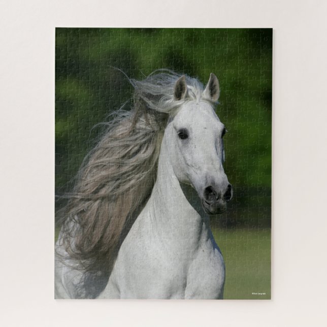 Puzzle Bob Langrish | Tirage de Stallion andalou gris (Vertical)