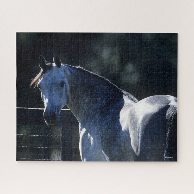 Puzzle Bob Langrish | Tirage de tête arabe gris-pomme rét (Horizontal)