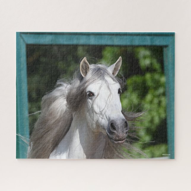 Puzzle Bob Langrish | Tirage d'un stallion andalou gris (Horizontal)