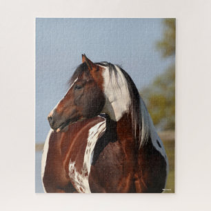 Puzzle Bob Langrish Tobiano Paint Horse Stallion tête