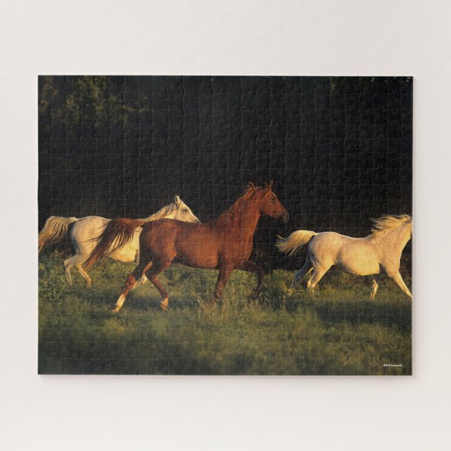 Puzzle Bob Langrish Trois Arabes Courent Dans La Lumière  (Horizontal)