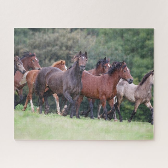 Puzzle Bob Langrish | Troupeau de poneys gallois en campa (Horizontal)