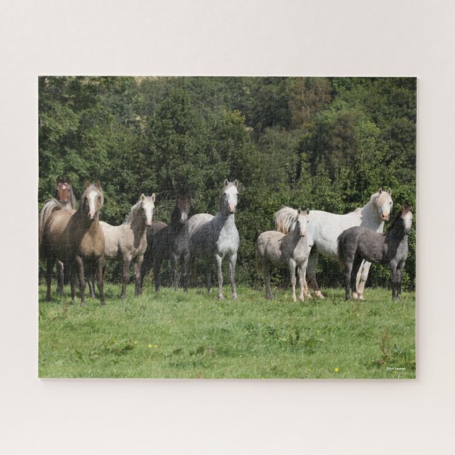 Puzzle Bob Langrish | Troupeau De Ponies Galloises Debout (Horizontal)