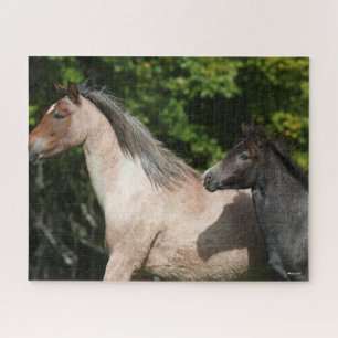 Puzzle Bob Langrish Welsh Pony Mare et Foie Headshot