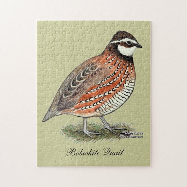 Puzzle Bobwhite Quail (Vertical)