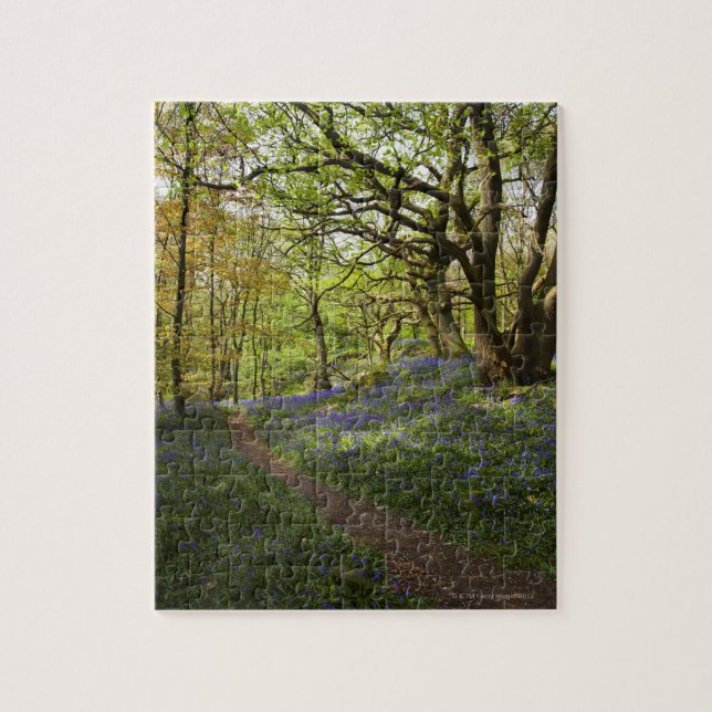Puzzle Bois de jacinthe des bois de ressort (Vertical)