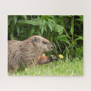 Puzzle Bois (marmotte) avec une fleur