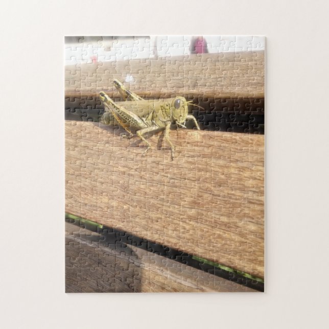 Puzzle Bonjour M. Grasshopper ! (Vertical)