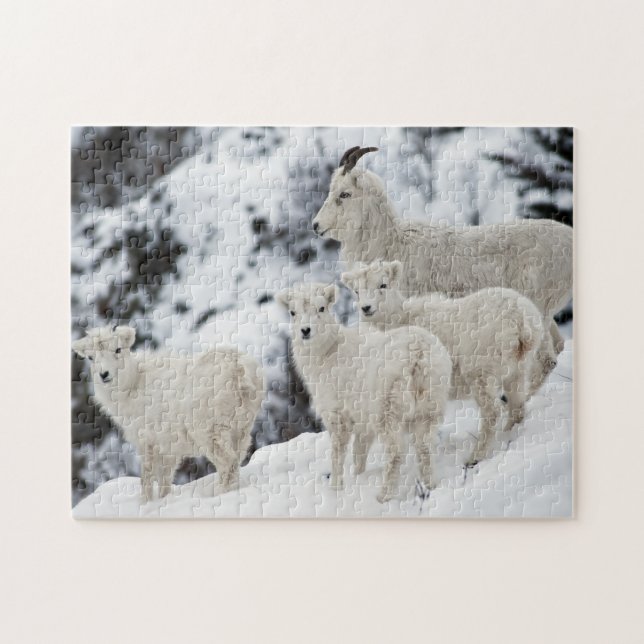 Puzzle Bonne famille de moutons (Horizontal)
