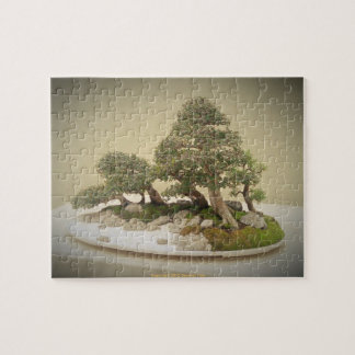 Puzzle Bonsaïs 5