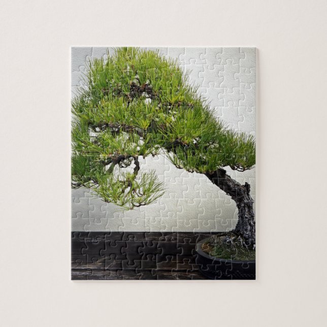Puzzle Bonsaïs japonais de pin noir (Vertical)