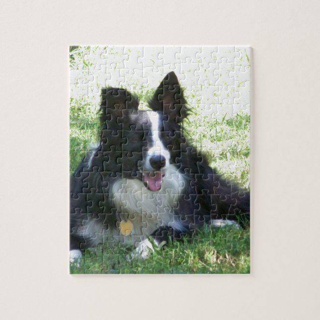 Puzzle Border collie (Vertical)