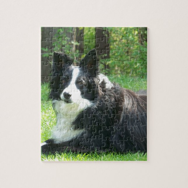 Puzzle Border collie (Vertical)