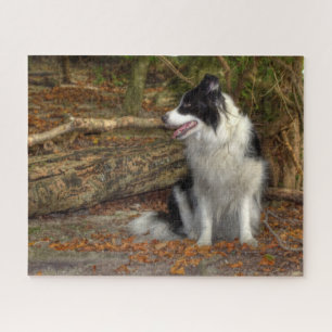 Puzzle Border Collie dans les Bois