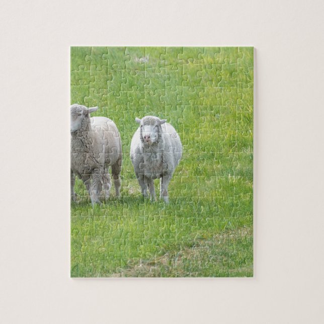 Puzzle Border collie et brebis (Vertical)