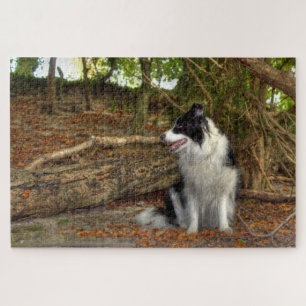 Puzzle Border Collie Grand