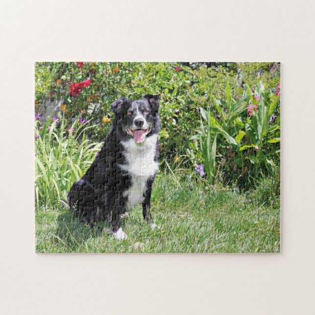 Puzzle Border collie - paddy - Pasten (Horizontal)