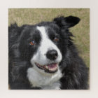 Bordure Collie