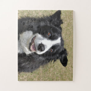 Puzzle Bordure Collie