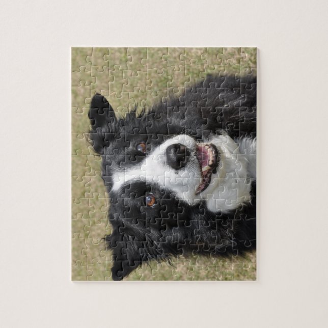 Puzzle Bordure Collie (Vertical)