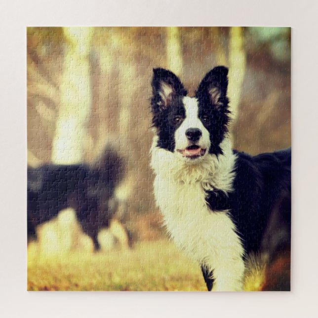 Puzzle Bordure Collie (Vertical)
