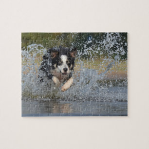 Puzzle Bordure Collie