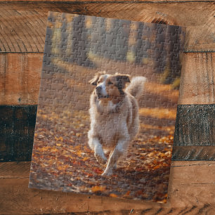Puzzle Bordure Collie dans la forêt