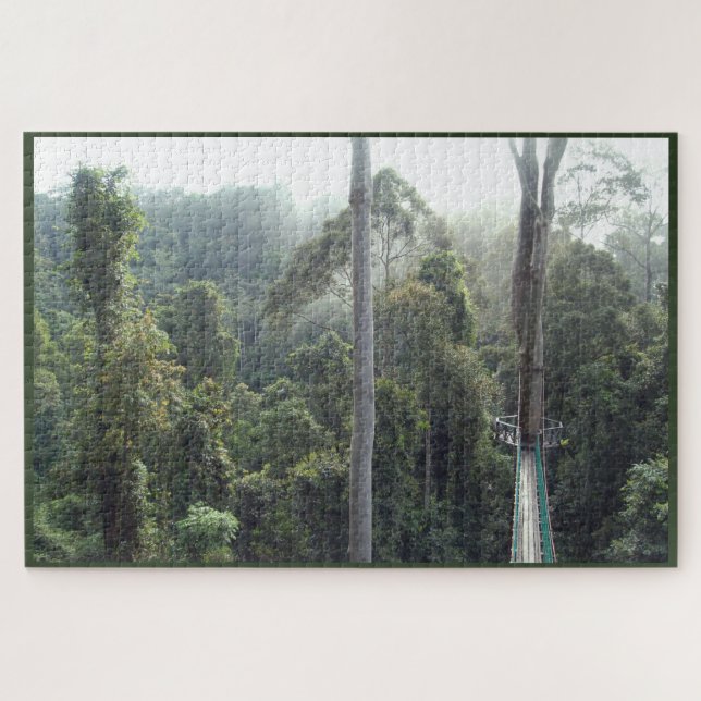 Puzzle Borneo Rainforest Jungle Canopy Treetop Scene (Horizontal)