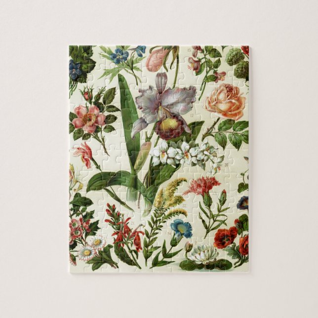 Puzzle Botaniques de fleurs (Vertical)